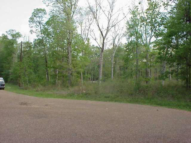 APN's lot as seen form the street